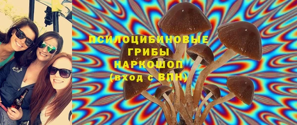 трава Аркадак