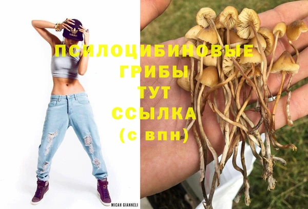 гидропоника Баксан