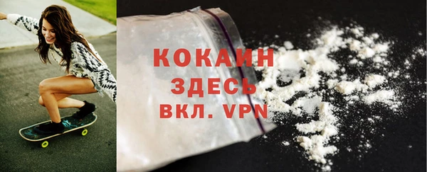 трава Аркадак